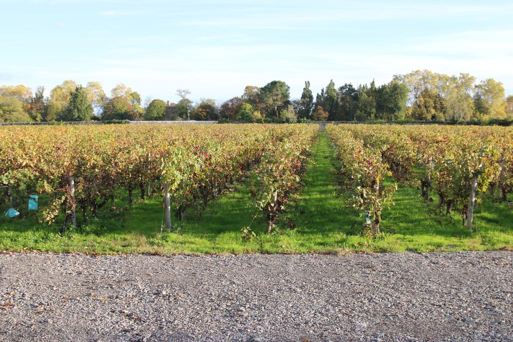 Chateau Beau-Site Bed and Breakfast Portets Esterno foto